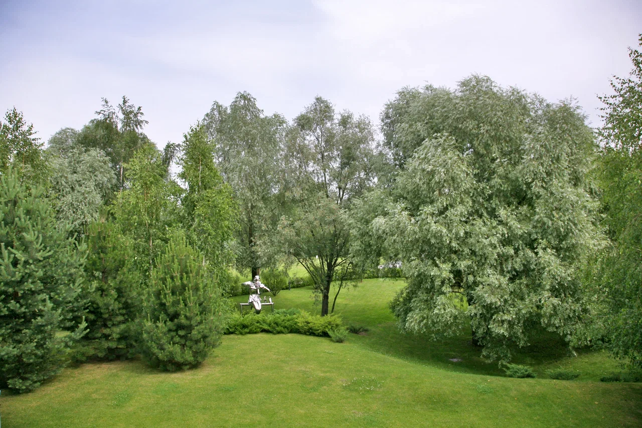 Элитный остров